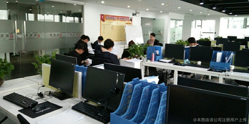 市场调研是什么？揭示企业成功背后的秘密